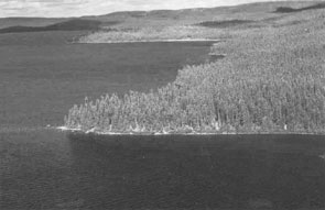 View north along the east side of Unikush ushakameshim. Photo courtesy Fred Schwarz.