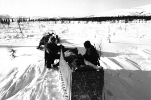 Kashetan Rich and the late Patnik Rich caribou hunting at Mishti-shuapi. Photo courtesy Peter Armitage.