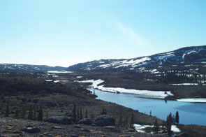 Ashuapun. Photo courtesy Prote Poker.