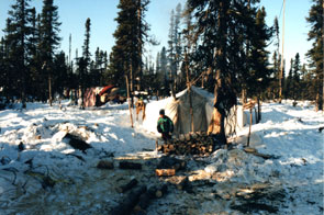 Kaishkuatshakutik. Photo courtesy Anikashanit Andrew.