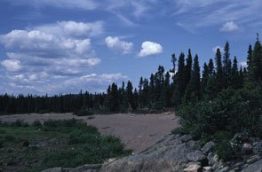 View of an Innu campsite at the mouth of Utshashumeku-shipiss. The band of brush on the left half of the image indicates the former shoreline before the damming of Mishikamau-shipu upstream. Photo courtesy Moira McCaffrey.