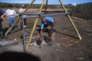 Tepit Nuke checks the roast at Ashuapamatikuan. Photo courtesy Peter Armitage.